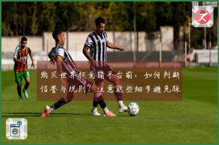 购买世界杯竞猜平台前，如何判断信誉与规则？注意这些细节避免踩坑！