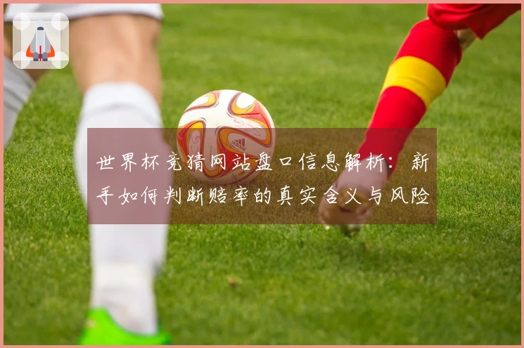 世界杯竞猜网站盘口信息解析:新手如何判断赔率的真实含义与风险