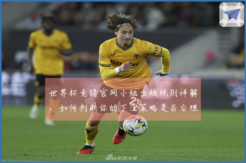 世界杯竞猜官网小组出线规则详解,如何判断你的下注策略是否合理