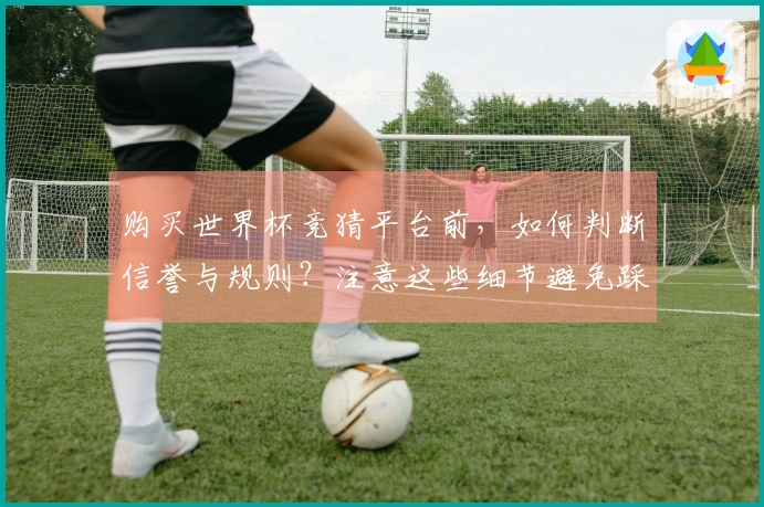 购买世界杯竞猜平台前,如何判断信誉与规则?注意这些细节避免踩坑!