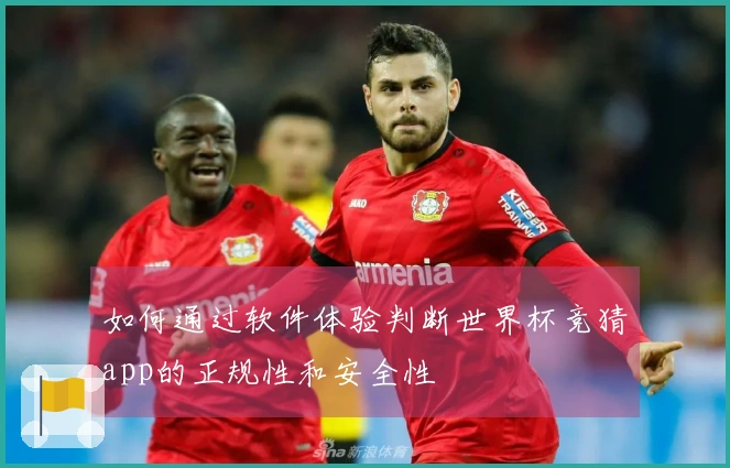 如何通过软件体验判断世界杯竞猜app的正规性和安全性