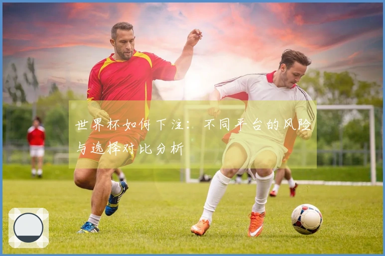 世界杯如何下注:不同平台的风险与选择对比分析
